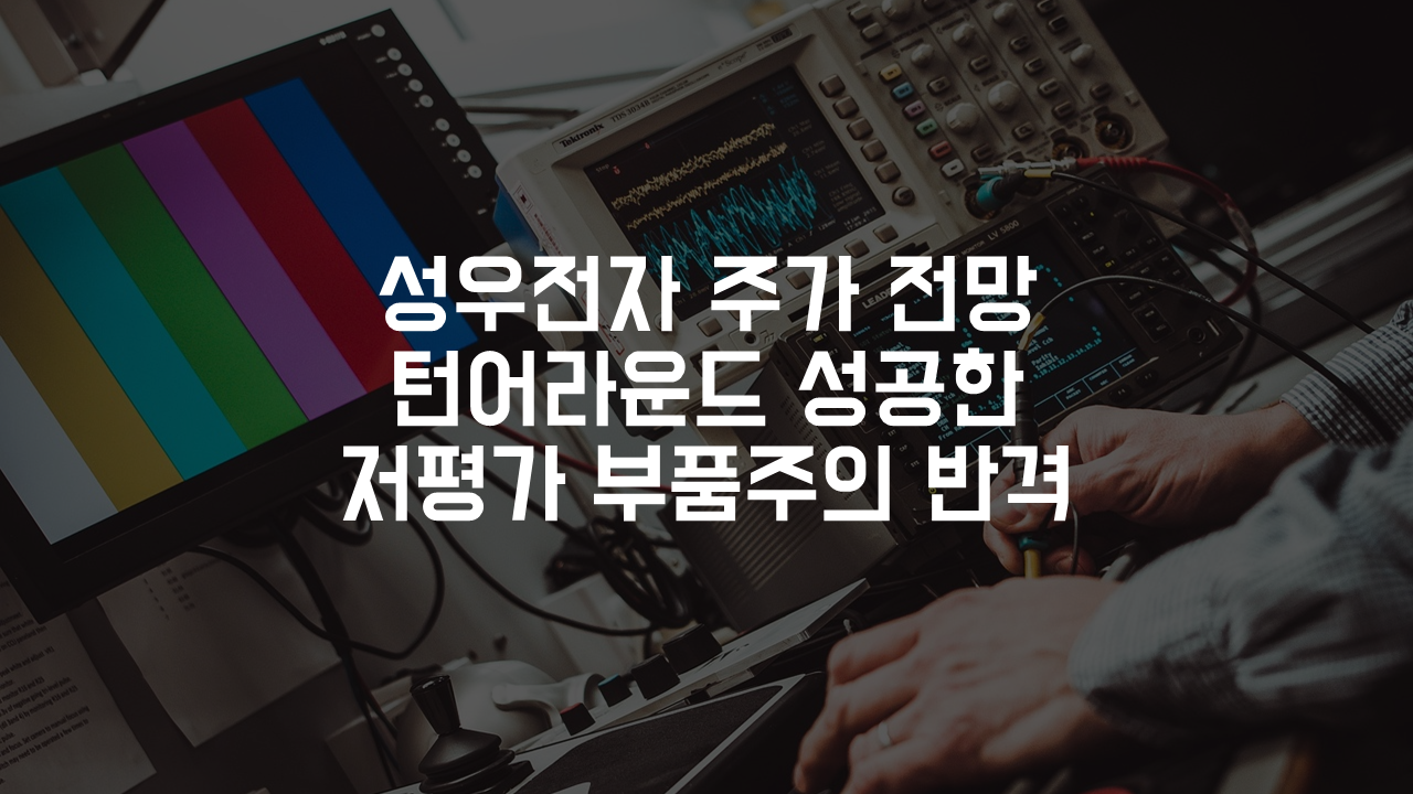 성우전자 (081580) 주가 전망, 턴어라운드 성공한 저평가 부품주의 반격