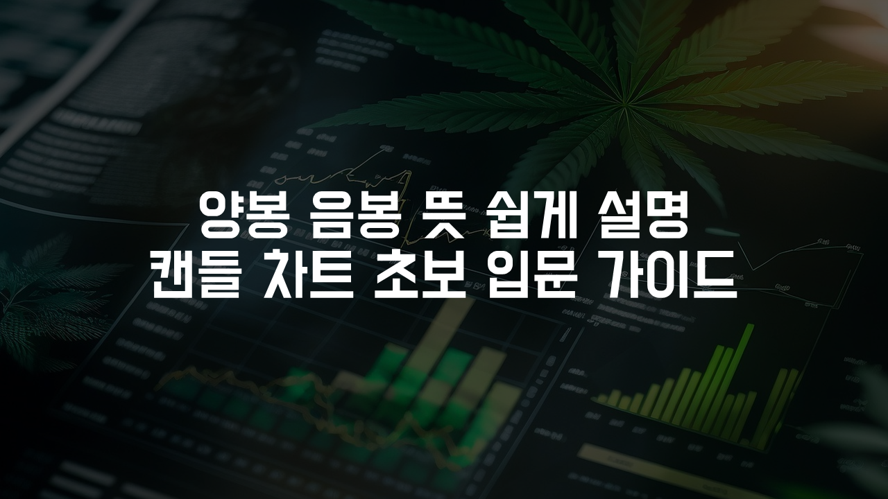 양봉 음봉 뜻 쉽게 설명, 캔들 차트 초보 입문 가이드
